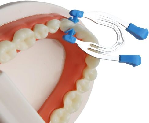 Dental Sectional Matrices Clip Matrix Sectional Contoured Matrices Clamps High Temperature Resistant Metal Spring Clip Rings (Type C） in Kuwait