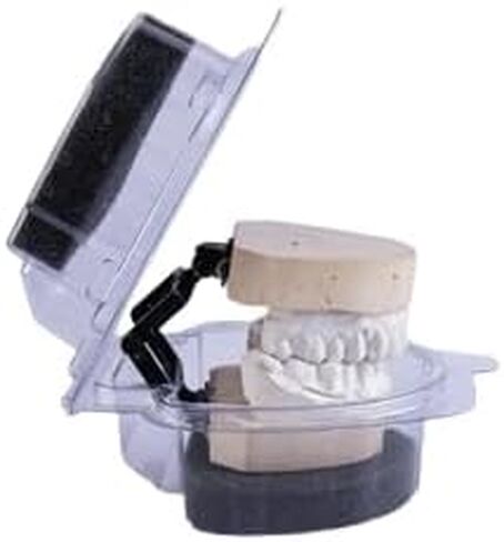 Dental Model Carrier & Denture Box with Foams Ortho Appliance Care Disposable Plastic Clear Cases (10) in Kuwait