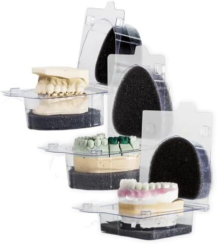 Dental Model Carrier & Denture Box with Foams Ortho Appliance Care Disposable Plastic Clear Cases (10) in Kuwait