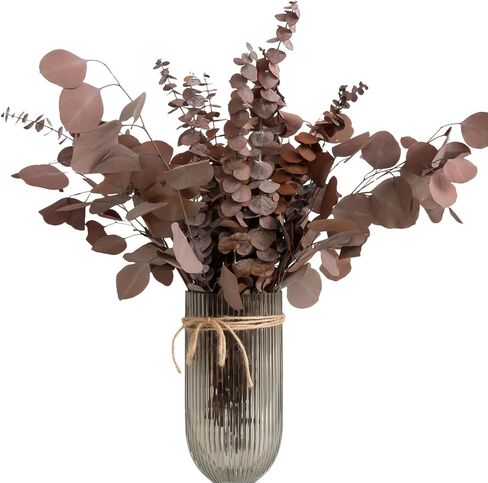 Dried Eucalyptus Mix, Real Natural Plant, for Wedding, Home Decor, DIY, Vase Filler, Total of 25 Pieces (Green) in Saudi Arabia