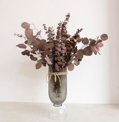 Dried Eucalyptus Mix, Real Natural Plant, for Wedding, Home Decor, DIY, Vase Filler, Total of 25 Pieces (Green) in Saudi Arabia