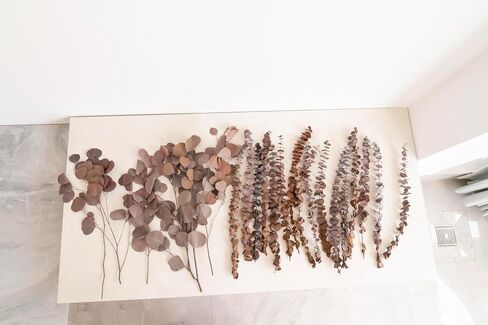 Dried Eucalyptus Mix, Real Natural Plant, for Wedding, Home Decor, DIY, Vase Filler, Total of 25 Pieces (Green) in Saudi Arabia