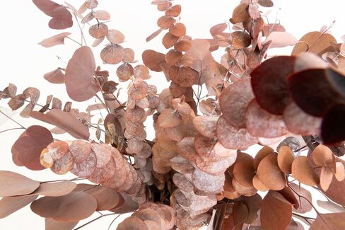 Dried Eucalyptus Mix, Real Natural Plant, for Wedding, Home Decor, DIY, Vase Filler, Total of 25 Pieces (Green) in Saudi Arabia