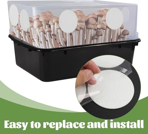 30 PCS 2.5 "الفطر مرشح Monotub تصريحات أقراص ، ملصقات ورق مرشح الفطر 2 مم 2 مم ، مستلزمات متزايدة ، غرف الإثمار monotub لتبادل الهواء in Kuwait