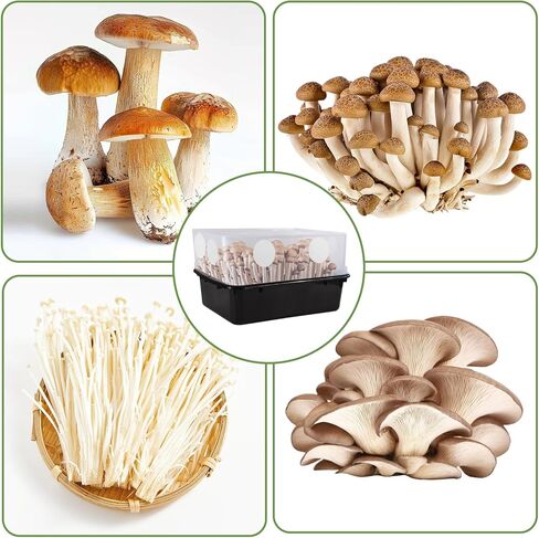 30 PCS 2.5 "الفطر مرشح Monotub تصريحات أقراص ، ملصقات ورق مرشح الفطر 2 مم 2 مم ، مستلزمات متزايدة ، غرف الإثمار monotub لتبادل الهواء in Kuwait