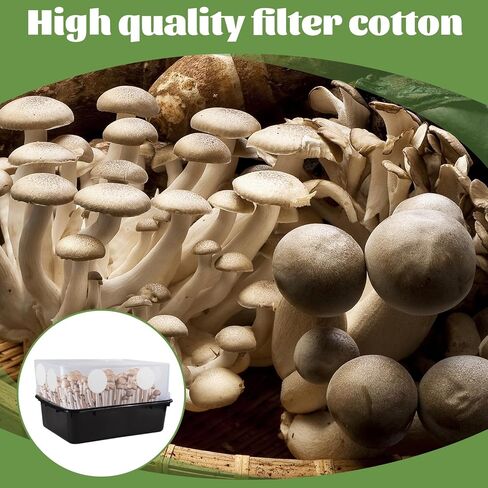30 PCS 2.5 "الفطر مرشح Monotub تصريحات أقراص ، ملصقات ورق مرشح الفطر 2 مم 2 مم ، مستلزمات متزايدة ، غرف الإثمار monotub لتبادل الهواء in Kuwait