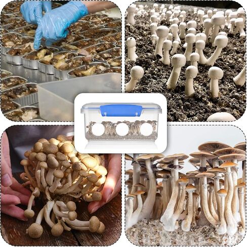 24pcs 2.5 "أقراص مرشح لاصقة أحادية ، 0.12 بوصة الفطر السميك منصات مرشح أحادي الفطر. in Saudi Arabia