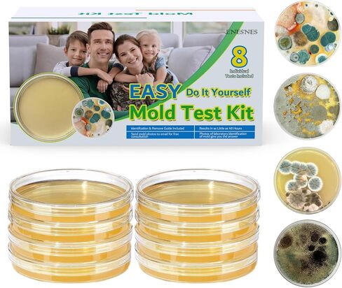 Mold Test Kit for Home, 8 Detection Tests for HVAC, Surfaces & Indoor Air Quality, DIY Black Mold Detector Testing kit at Home, Includes Detailed Identification Guide, 5X Magnifier & Free Lab Analysis in Kuwait