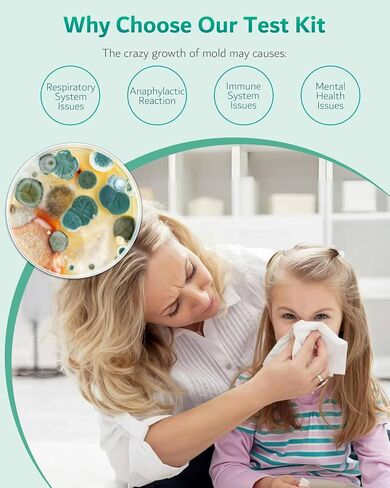 Mold Test Kit for Home, 8 Detection Tests for HVAC, Surfaces & Indoor Air Quality, DIY Black Mold Detector Testing kit at Home, Includes Detailed Identification Guide, 5X Magnifier & Free Lab Analysis in Kuwait