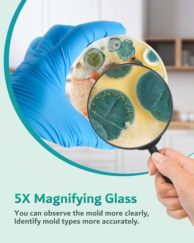 Mold Test Kit for Home, 8 Detection Tests for HVAC, Surfaces & Indoor Air Quality, DIY Black Mold Detector Testing kit at Home, Includes Detailed Identification Guide, 5X Magnifier & Free Lab Analysis in Kuwait