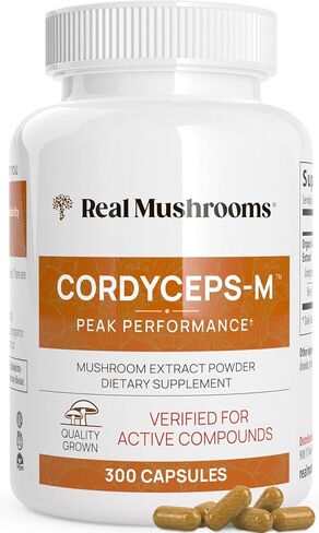 Real Mushrooms Cordyceps Powder - Performance Mushroom Extract with Organic Militaris for Energy Immune Support Vegan Supplement, Boost Non-GMO, 60 Servings in Kuwait