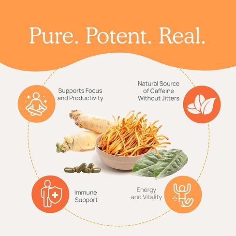 Real Mushrooms Cordyceps Powder - Performance Mushroom Extract with Organic Militaris for Energy Immune Support Vegan Supplement, Boost Non-GMO, 60 Servings in Kuwait