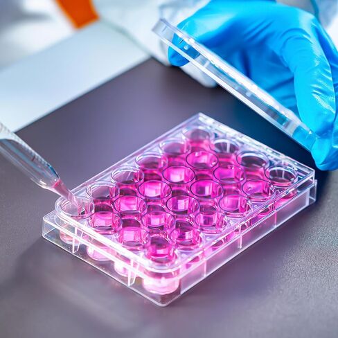 iPlusmile 48 أداة ملء حبوب منع الحمل ، رف أنبوب microcentrifuge ، صينية ثقافة الخلية بئر تقدم صينية لمعدات المختبر in Kuwait