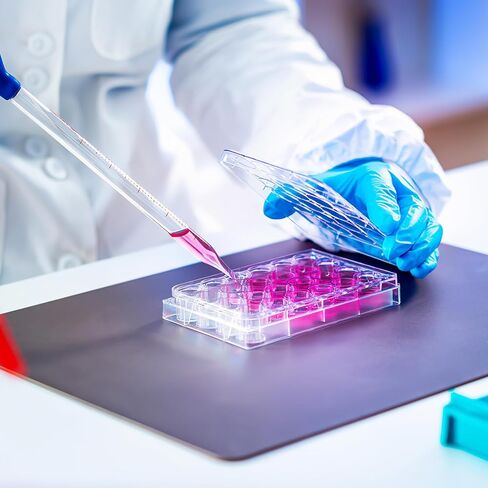 iPlusmile 48 أداة ملء حبوب منع الحمل ، رف أنبوب microcentrifuge ، صينية ثقافة الخلية بئر تقدم صينية لمعدات المختبر in Kuwait
