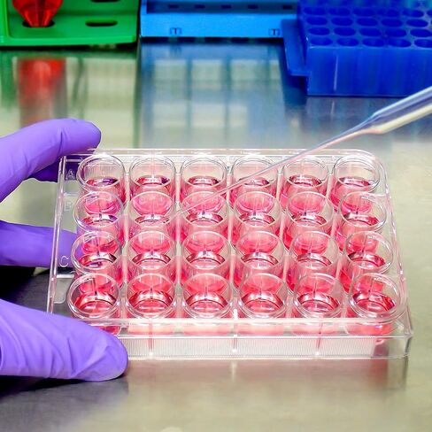 iPlusmile 48 أداة ملء حبوب منع الحمل ، رف أنبوب microcentrifuge ، صينية ثقافة الخلية بئر تقدم صينية لمعدات المختبر in Kuwait