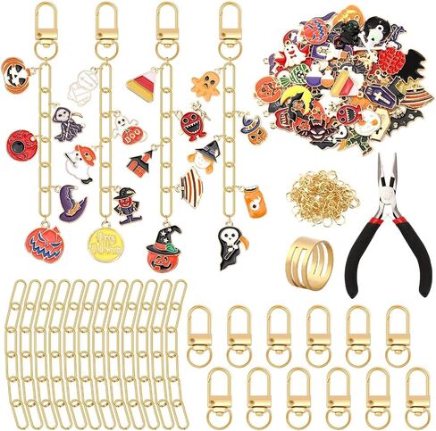 AUGSUN 189Pcs Keychain Making Kit, Charm Jewelry Chain Making Crafts Including 60 Charms 12 Keychain Clips Hooks 15 Extender Chains 100 Jump Ring and Jewelry Plier for Crafts Accessories in Kuwait
