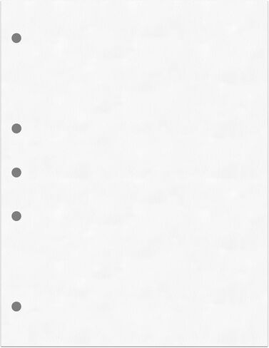 PrintWorks Professional Pre Punched Paper, 5 Hole Punch Left For 2 Ring & 3 Ring Binders & Side Fastener File Folders, 8.5 x 11, 20 lb., 500 Sheets (04340), White, 5-Hole Left Punched in Saudi Arabia