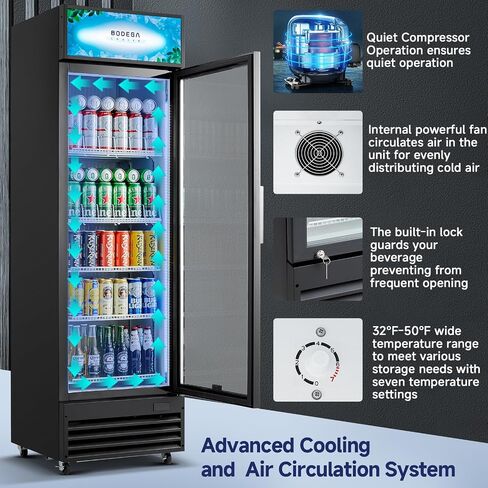 Bodegacooler Beverage Beverage Beverage ، 12.5 Cu. ثلاجة تاجر تجاري سوداء سوداء ، أرفف مصباح LED/قابلة للتعديل ، ثلاجة عرض كبيرة مستقيمة للمطبخ/المكتب/المنزل/المرآب. in Kuwait