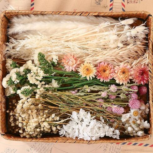 11 Kinds of Dried Flowers for Crafts Bulk DIY Natural Multi-color Dried Pampas Grass Lavender Forget Me Not Babys Breath with Stems Dry Flower Bouquets with Hemp Rope for Home Decor Floral Arrangement in Kuwait