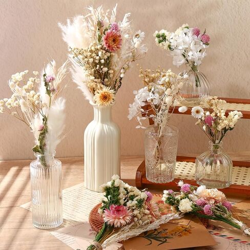 11 Kinds of Dried Flowers for Crafts Bulk DIY Natural Multi-color Dried Pampas Grass Lavender Forget Me Not Babys Breath with Stems Dry Flower Bouquets with Hemp Rope for Home Decor Floral Arrangement in Kuwait