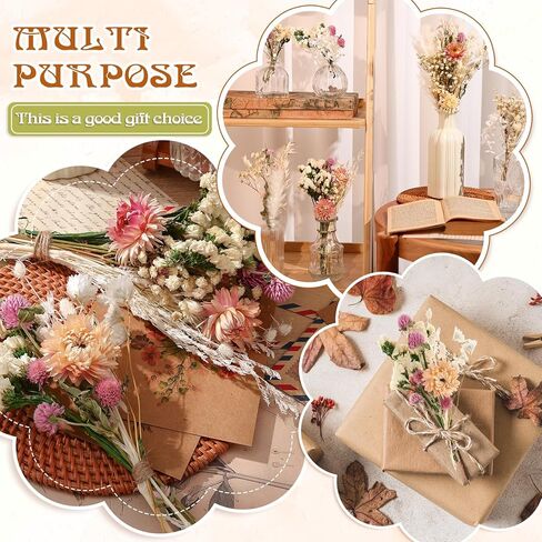 11 Kinds of Dried Flowers for Crafts Bulk DIY Natural Multi-color Dried Pampas Grass Lavender Forget Me Not Babys Breath with Stems Dry Flower Bouquets with Hemp Rope for Home Decor Floral Arrangement in Kuwait