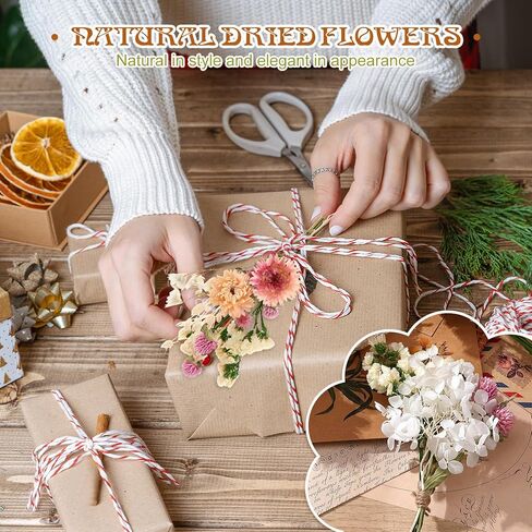 11 Kinds of Dried Flowers for Crafts Bulk DIY Natural Multi-color Dried Pampas Grass Lavender Forget Me Not Babys Breath with Stems Dry Flower Bouquets with Hemp Rope for Home Decor Floral Arrangement in Kuwait
