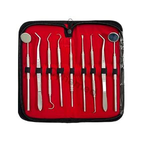 German Dental Scaler Pick Set of 9PCS Dental Hygiene- Dental Mirror, Pliers, Scraper, Probe, ETC (CYNAMED) in Kuwait
