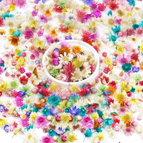 280 PCS Mini Dried Flowers for Resin, Small Dried Flowers for Crafts, Mini-Dried Flower Bulk for Resin Art, Jewelry, Candle Making, Soap Making and DIY Crafts in Saudi Arabia