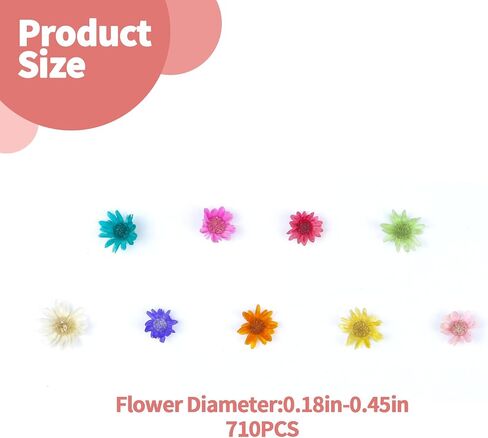 280 PCS Mini Dried Flowers for Resin, Small Dried Flowers for Crafts, Mini-Dried Flower Bulk for Resin Art, Jewelry, Candle Making, Soap Making and DIY Crafts in Saudi Arabia