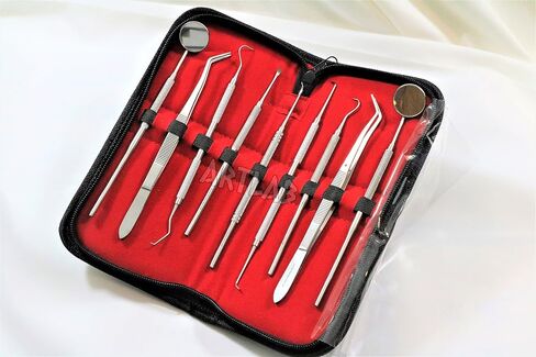 German Dental Scaler Pick Set of 9PCS Dental Hygiene- Dental Mirror, Pliers, Scraper, Probe, ETC (CYNAMED) in Kuwait
