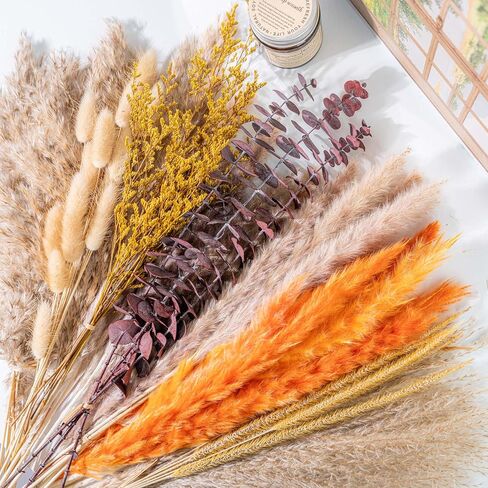 WILD AUTUMN Pampas Grass Decor Natural Dried Pampas Boho Home Decor Bouquet Dried Flowers Eucalyptus Bouquet for Wedding Floral Arrangements Table Decor Rustic Farmhouse (White&Green) in Saudi Arabia