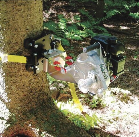 Portable Winch PCA-1269 Tree Mount Winch Anchor with Strap in Saudi Arabia