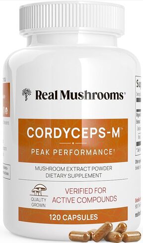 Real Mushrooms Cordyceps Capsules - Performance Mushroom Extract Supplement with Organic Militaris for Energy Immune Support Vegan Supplement, Non-GMO, 300 Caps in Saudi Arabia