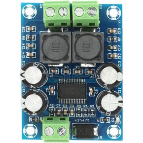 Mini TPA3118 Amplifier Board, DC10-24V Mono Amplifier, Stereo Audio Amplifier Board, 60W in Saudi Arabia