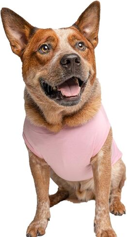 Cancer Ribbon Breast Cancer Dog Tee Shirt Sizes for Puppies, Toys, and Large Breeds (Hot Pink, X-Small 810) in Kuwait
