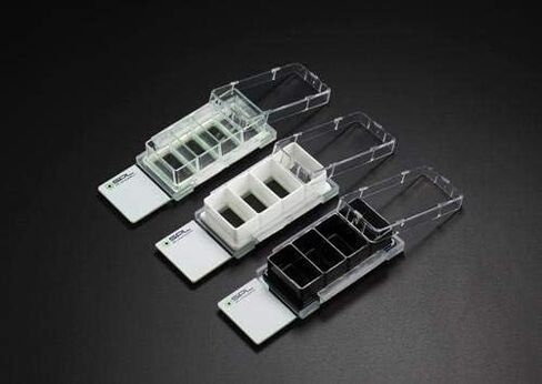 SPL Cell Culture Ramber ، واضحة ، 4 آبار ، إطار PS ، شريحة زجاجية ، حامل PP ، 0.5 ~ 1.3 مل ، معقمة ، حالة 12 // 2 حزمة 6 in Saudi Arabia