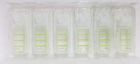 SPL Cell Culture Ramber ، واضحة ، 4 آبار ، إطار PS ، شريحة زجاجية ، حامل PP ، 0.5 ~ 1.3 مل ، معقمة ، حالة 12 // 2 حزمة 6 in Saudi Arabia