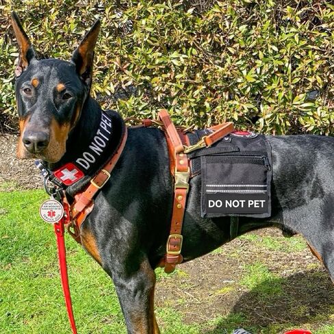 Do Not Pet Service Dog ID Tag, Double Side Engraved Medical Alert Symbol Easily Attach to Collar, Harness (Small-0.98 inch) in Kuwait