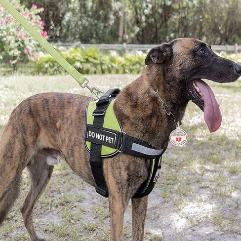 Do Not Pet Service Dog ID Tag, Double Side Engraved Medical Alert Symbol Easily Attach to Collar, Harness (Small-0.98 inch) in Kuwait