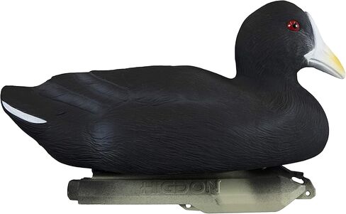 Higdon Outdoors أفخاخ Coot القياسية، مملوءة بالرغوة in Saudi Arabia