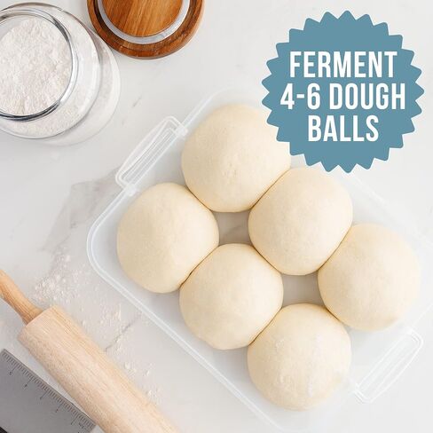 Chef Pomodoro Pizza Dough Proofing Box, 14 x 11-Inch, Preparation Container with Lid, Fits 4-6 Proofing Balls, Household Pizza and Bread Dough Tray With Convenient Carry Handle (Blue) in Kuwait