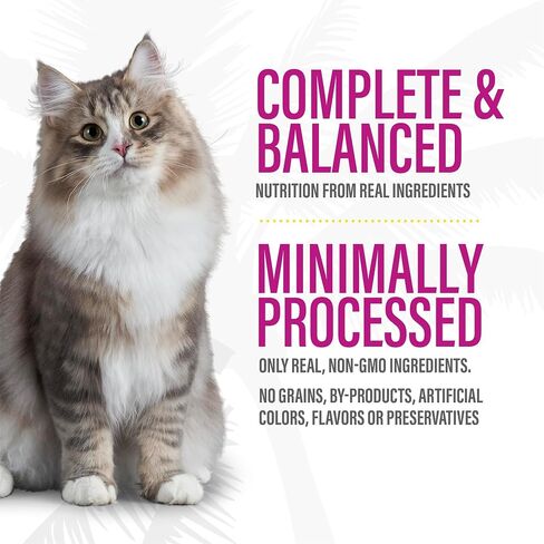 Tiki Cat بعد طعام القطة الرطبة الناعمة ، وصفة كبد الدجاج الداكنة ، 5.5 أوقية. Can (8 count) in Kuwait