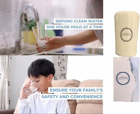 High Grade Water Filter Replacement, Removal of Chlorine for the Leveluk Kangen 8-2Pcs（Replacing HG-N and K-8 Filters） in Saudi Arabia