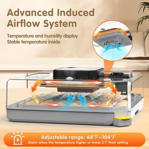 حاضنة حاضنة البيض لوجود بيض 48 بيضة لمزرعة المنزل مع مختبر مع بيضة تلقائية تحول 360 درجة من البيض الشمع in Kuwait