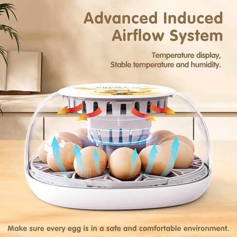 حاضنات لتفريغ البيض سد البيض حاضنة 12 بيضة مع تحول البيض التلقائي والتحكم في الرطوبة 360 درجة في المشاهدة للدجاج ، البط ، أوزة ، حمامة لمزرعة المختبر والمنزل in Kuwait
