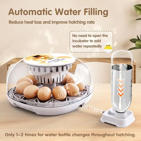 حاضنات لتفريغ البيض سد البيض حاضنة 12 بيضة مع تحول البيض التلقائي والتحكم في الرطوبة 360 درجة في المشاهدة للدجاج ، البط ، أوزة ، حمامة لمزرعة المختبر والمنزل in Kuwait