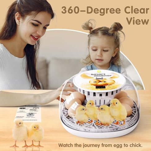 حاضنات لتفريغ البيض سد البيض حاضنة 12 بيضة مع تحول البيض التلقائي والتحكم في الرطوبة 360 درجة في المشاهدة للدجاج ، البط ، أوزة ، حمامة لمزرعة المختبر والمنزل in Kuwait