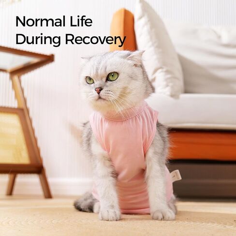 بدلة استرداد القط تنفس ما بعد الجراحة للذكور والإناث لصياغة/محايد ، أخضر فاتح ، ل in Kuwait