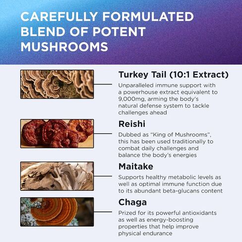 دكتور. Emil Nutrition 9000mg Lions Lions Mane Capsules مع Chaga و Reishi & Maitake - Mushroom Blend لدعم العافية in Kuwait