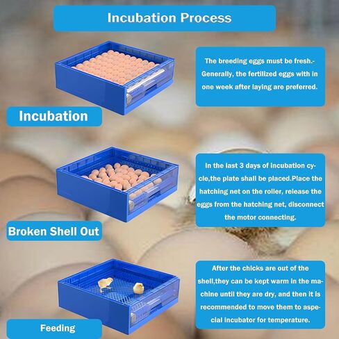 INTSUPERMAI 128 Egg Incubator Automatic Eggs Incubator Turning, Humidity, Temperature Control for Duck Goose Pigeon Quail and Others in Kuwait